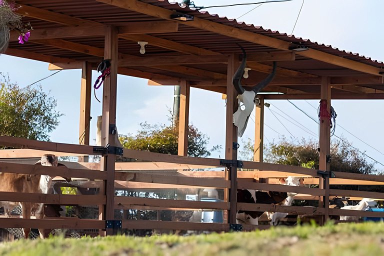 Villa rural con granja, fogata y jacuzzi en SantaE