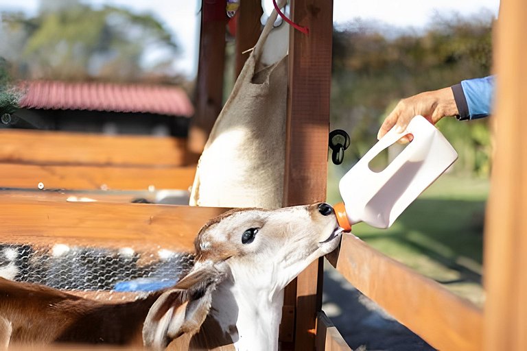 Villa Rural con Granja , fogata, y Jacuzzi SantaE