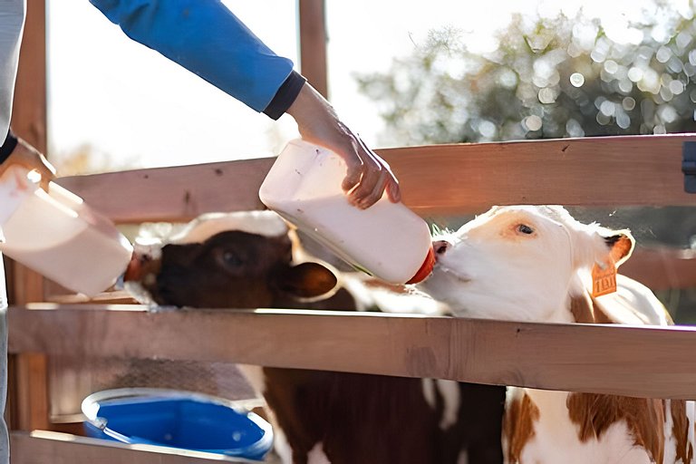 Villa Rural con Granja , fogata, y Jacuzzi SantaE