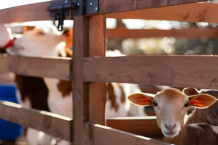 Villa Rural con Granja , fogata, y Jacuzzi SantaE