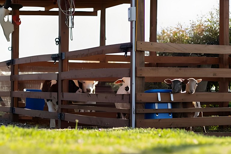 Villa Rural con Granja , fogata, y Jacuzzi SantaE