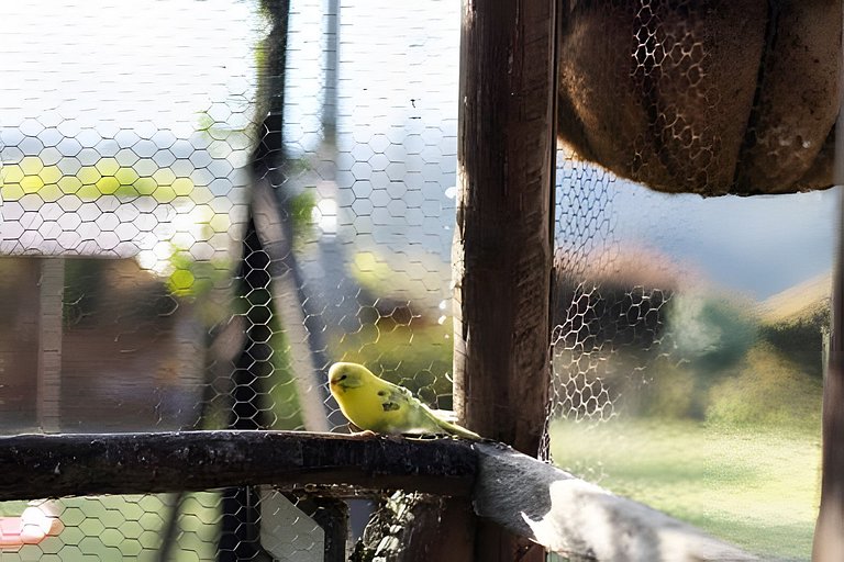 Villa Rural con Granja , fogata, y Jacuzzi SantaE