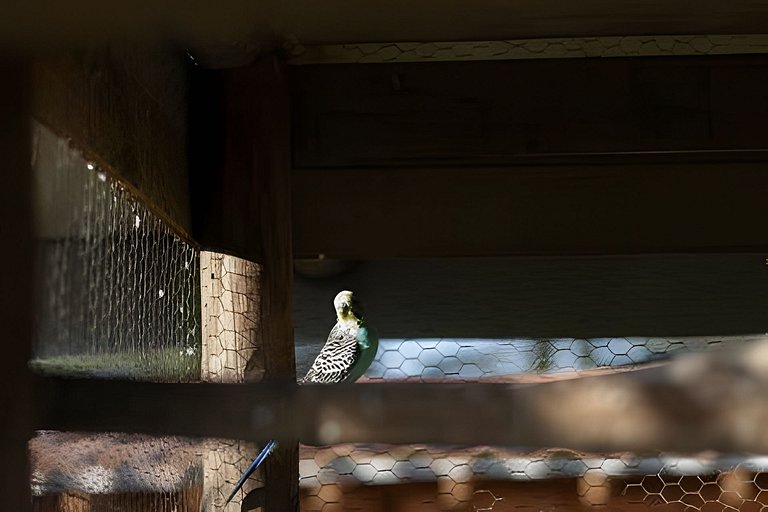 Villa Rural con Granja , fogata, y Jacuzzi SantaE