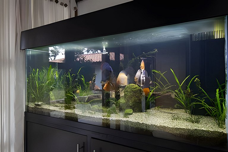 Villa Rural con Granja , fogata, y Jacuzzi SantaE