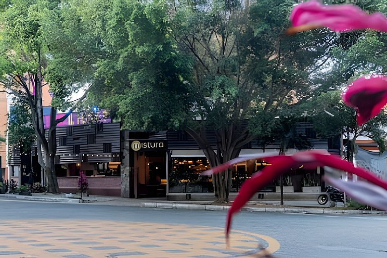 Encanto y Confort cerca al paquete Laureles